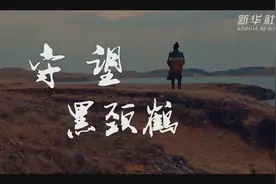 让濒危物种“绝处逢生”——“动植物王国”云南拯救极小种群物种记事图片