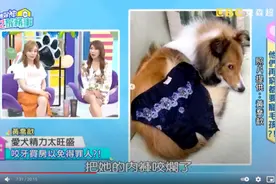 瑶瑶突PO「内裤照」吓坏季芹：为何女艺人要这样！原来是爱犬闯祸了图片