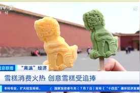 网红雪糕出圈，雪糕起步价涨至2元！网友：5毛一根的小布丁不香吗图片