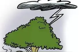 雷电高发 防范谨记图片