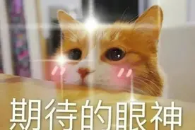 最新发布！高考录取结果今起开始查询！6种方式任选图片
