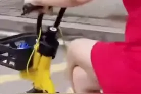 骑电动车翘二郎腿？不戴头盔？福州警方：不仅不酷，还很危险！视频封面
