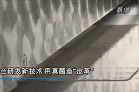 芬兰研发新技术 用真菌造“皮革”视频封面