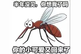 趣新闻丨那些年关于蚊子的谣言图片