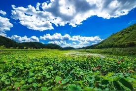 唱支红歌给党听 | 美丽的歌声，美丽的《南泥湾》图片
