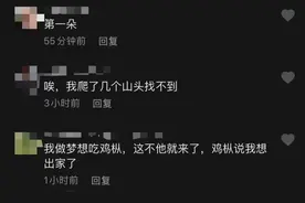 云南女子床头长出鸡枞，昂贵野生菌！网友：赶紧检查一下墙里吧图片
