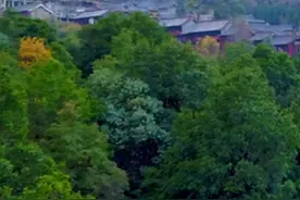 0.5倍速的日子，让灵山景区的夏天慢下来图片
