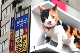 巨型3D猫咪亮相日本东京街头引路人围观图片