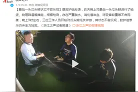 救护瓜头鲸后续：最后一头瓜头鲸状态不容乐观图片