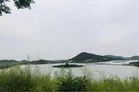 无名红茶 | 冯娟华图片