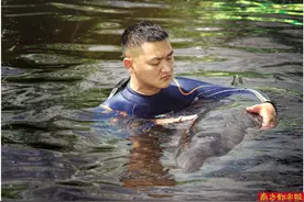 “鲸”险救援48小时 6头搁浅瓜头鲸已回家图片
