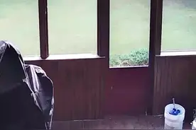 不可思议！美国女子做饭时发现自己的狗狗在后院和一只熊玩图片