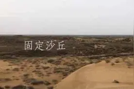 七月虫蝉歌图片