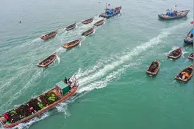 荣成：海上播种“致富菜”图片