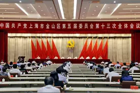 金山已明确！将重点打造医学城、产业园、旅游度假区…图片