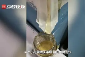 神奇！女子在墙沿下2天接了5瓶半野蜂蜜图片