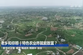 老乡和你唠｜特色农业咋就能致富？视频封面