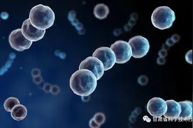科技名词 | 什么是肌红蛋白？图片