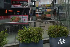 风暴眼中的暑期培训班图片