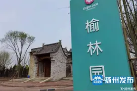 榆林园成“红色阵地”，30万人次来看山丹丹开花红艳艳图片