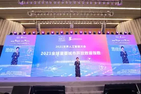 全球重要城市开放数据指数发布，广深等中国6座城市进前十图片