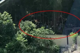 拍不到明星不下山？粉丝被困报警，网友怒了图片