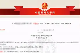 女子在乐园体验未开放项目受伤花费近7万元！法院判决图片
