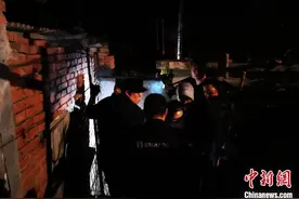 三只狼闯入哈尔滨阿城区一村屯 两只被击毙一只被麻醉图片