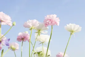 有一种智慧，叫事过不追问图片