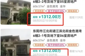 传奇女富豪彻底凉了？股价暴涨400%也救不了，网友：她经历了啥？图片