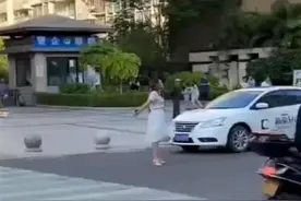 广东湛江一女子当街拦车攻击路人，警方已带走处理图片