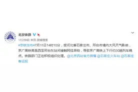 大风导致接触网挂异物，京广高铁约30趟列车晚点图片