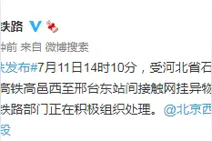 大风导致接触网挂异物，京广高铁约30趟列车晚点图片