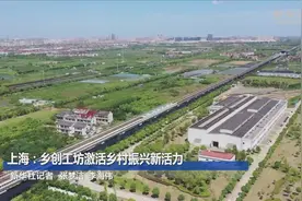 上海：乡创工坊激活乡村振兴新活力视频封面