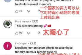 中国救鲸鱼视频传到国外，网友反手就做了一张图图片
