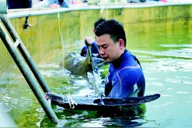 从村民到专家，一场接力“鲸”险大救援——浙江12头“迷路”瓜头鲸生死营救始末图片
