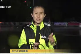 聊城迎来大到暴雨，伴有较强雷电和9级阵风，城管部门紧急处置视频封面