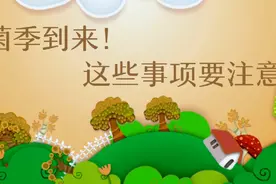 吃菌季到来！这些事项要注意！视频封面