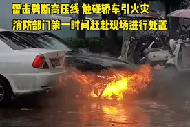 安徽定远一处高压线被雷击断砸中轿车 瓢泼大雨中引发火灾图片