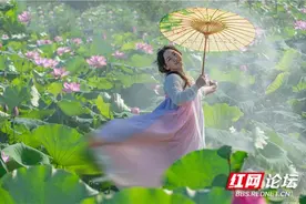荷塘里的美女汉服秀，看得见的东方美学图片