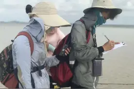 全球首个亚太区鲎观测站落户北海正式开始观测工作图片