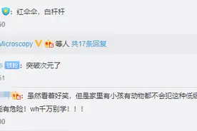狗狗也中毒！？吃菌需谨慎，这份指南请速速查收→图片