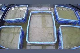 嫦娥五号“太空稻”收获啦！一分钟视频带你看生长全过程图片