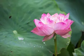 假期出游 | 开启“任意门”，这个夏天一起畅游西昌图片