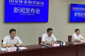 国家林草局通报12起破坏森林资源典型案件图片