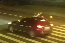 深夜，杭州姑娘踩着油门过…下一秒惨了图片