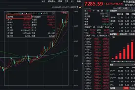 为了芯片，刚刚，1.7万亿美团也出手了！此前曾投资喜茶、蜜雪冰城等项目图片