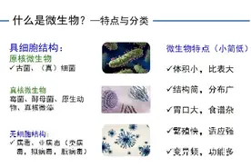 小生命大作用，微生物与环境安全的那些事（一）图片