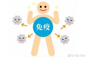 免疫力对人体的3大作用图片
