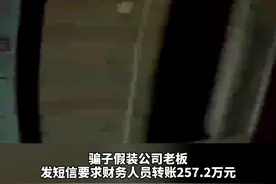 真老板假老板分不清楚？公司财务请来警察核实身份，成功止损257.2万元图片